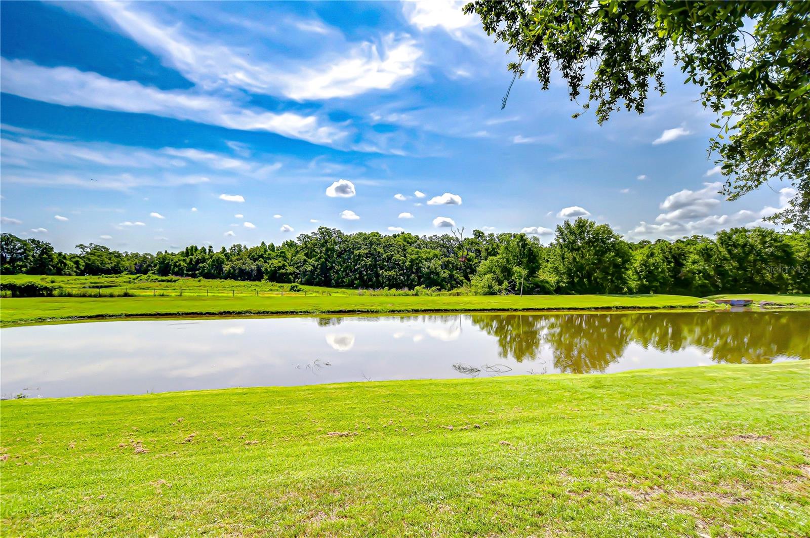 Pond and conservation views!