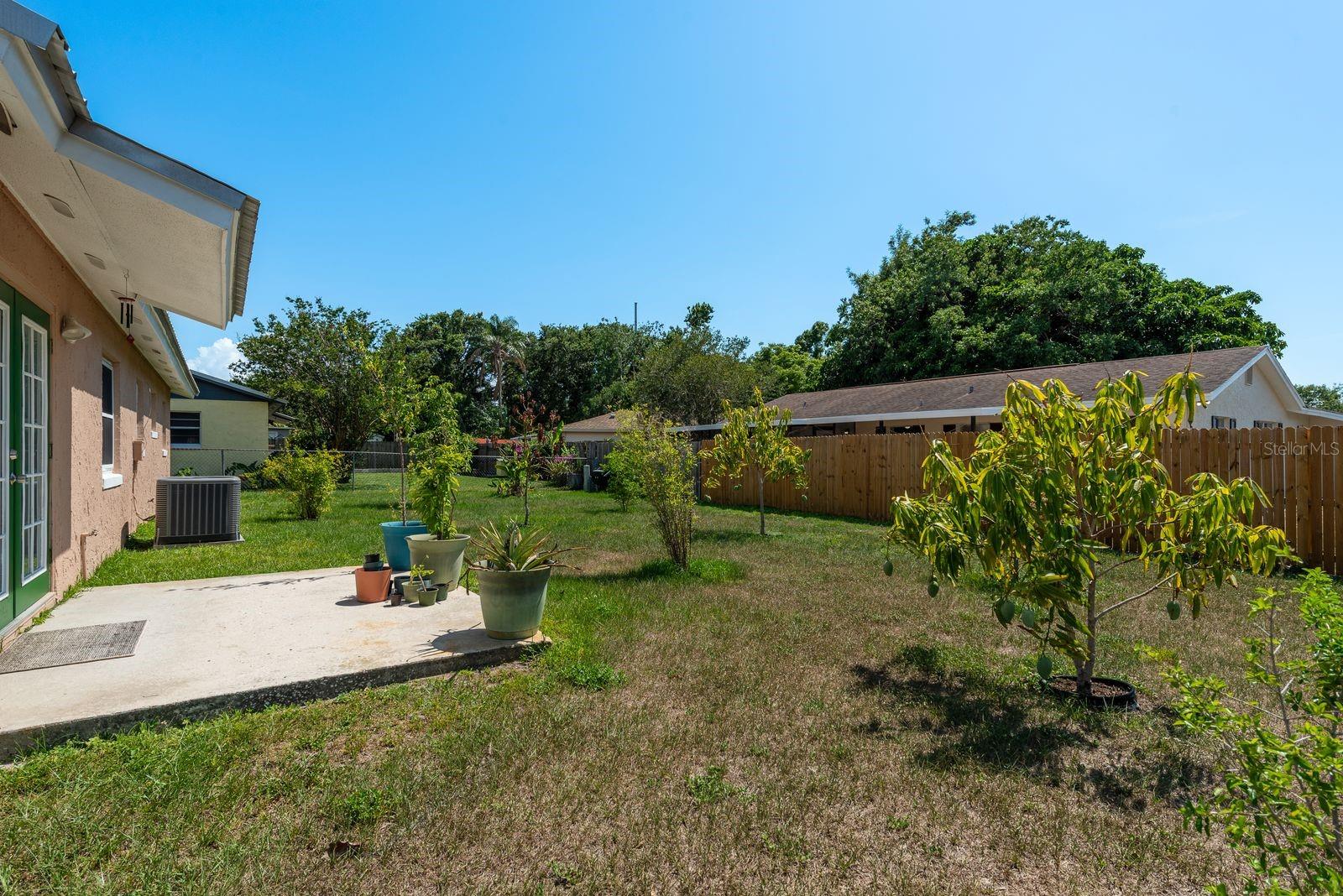 Spacious enclosed backyard