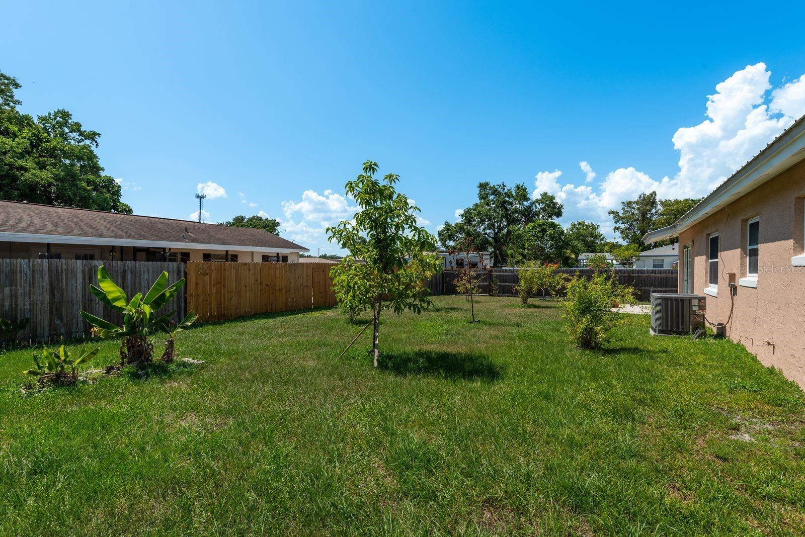 Spacious enclosed backyard