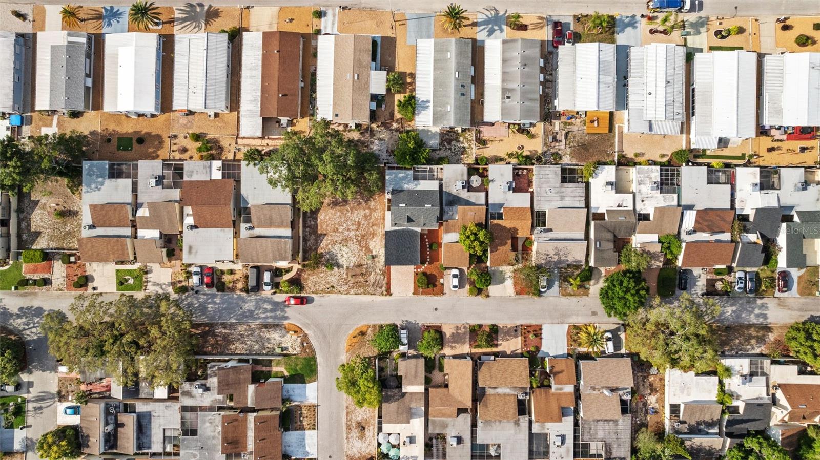 Neighborhood