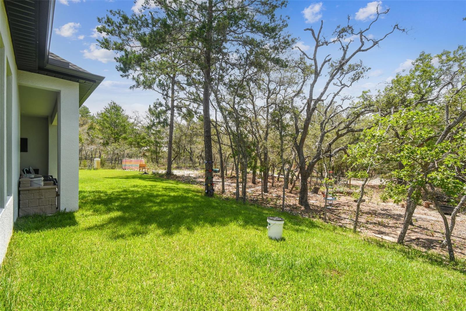 HUGE Fenced Backyard