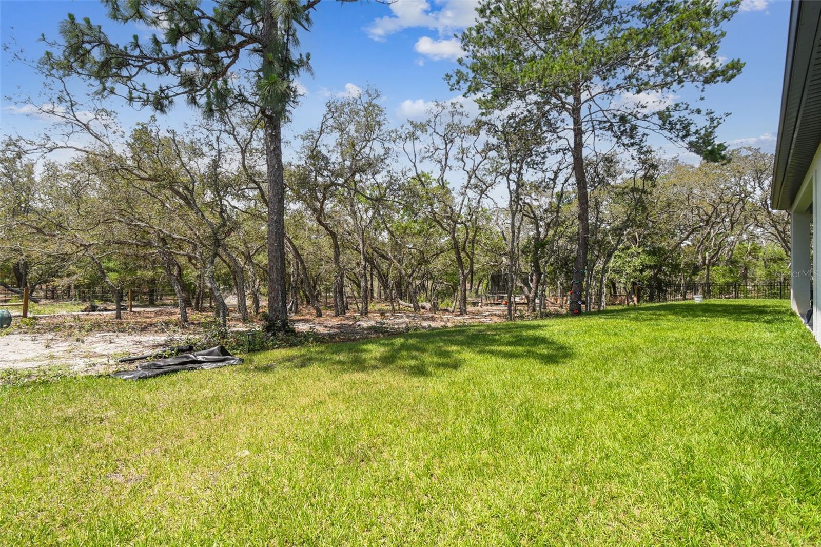 Oversized, Fenced Backyard