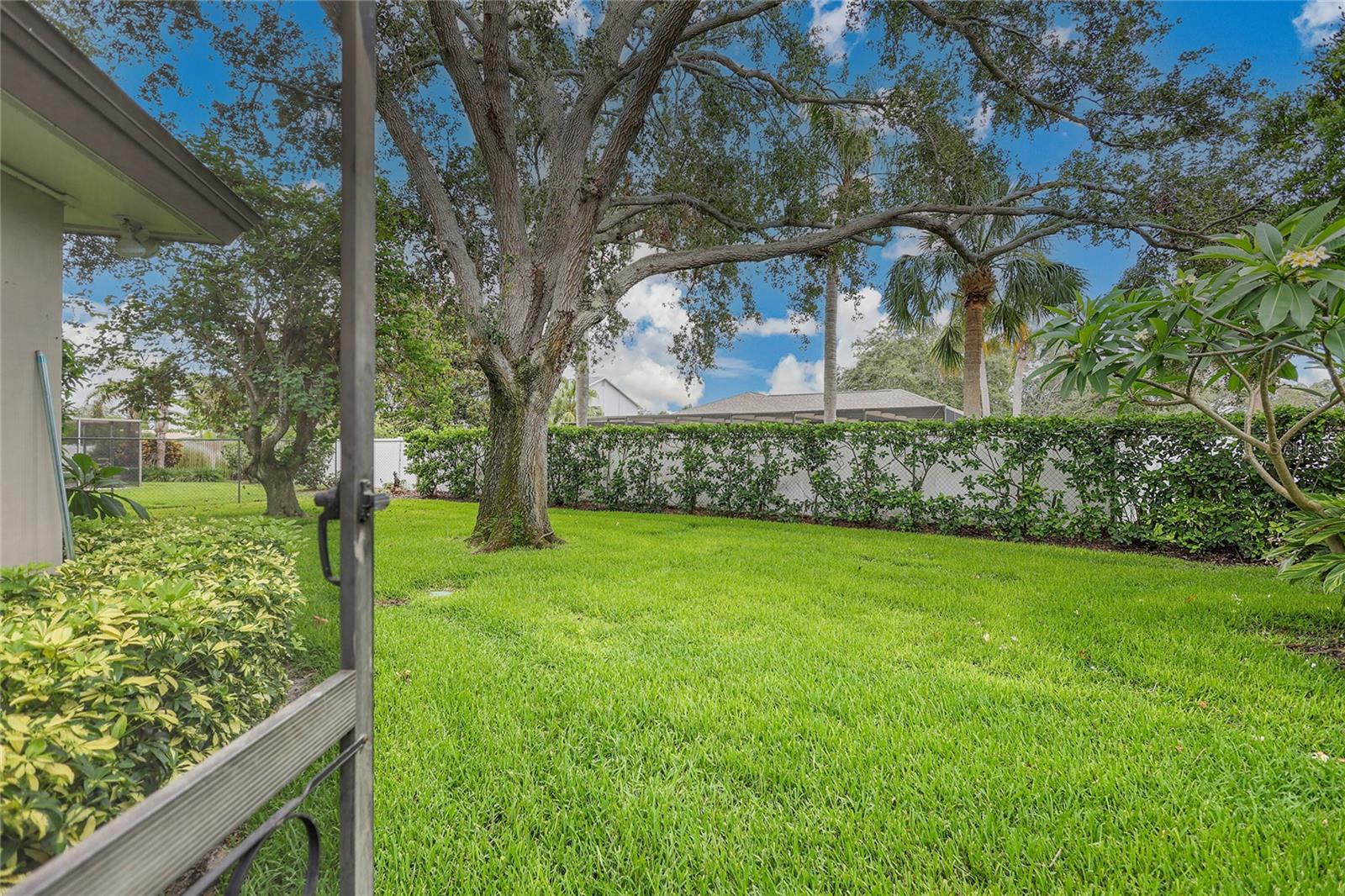 Backyard