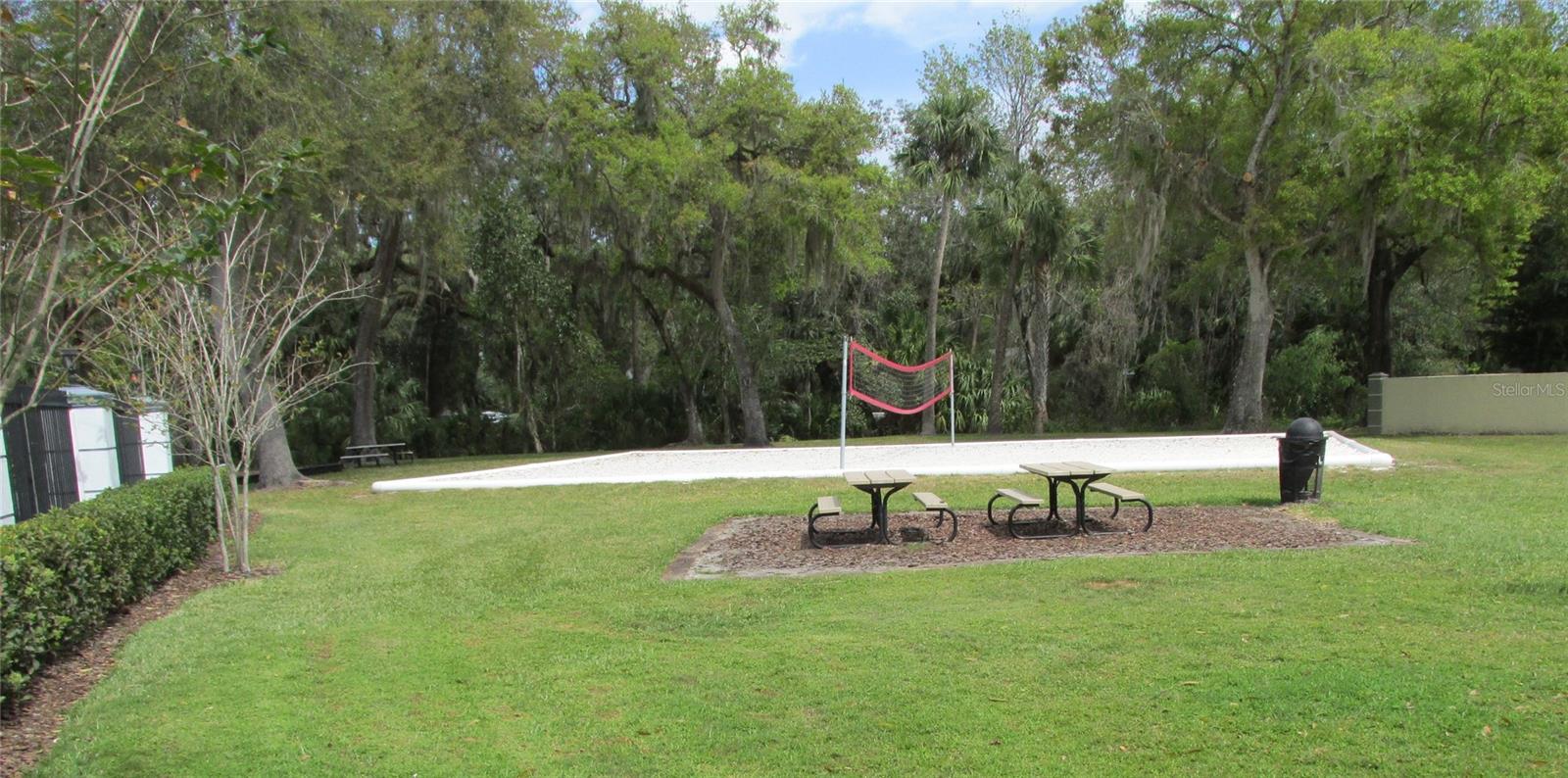Volleyball Court