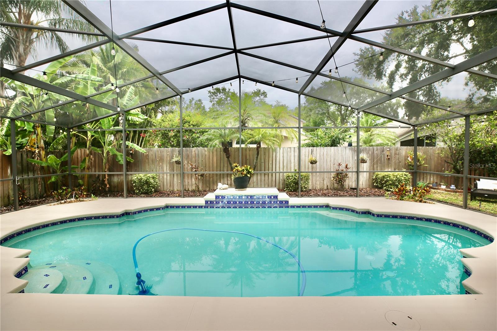 Look at this beautiful fenced-In backyard.