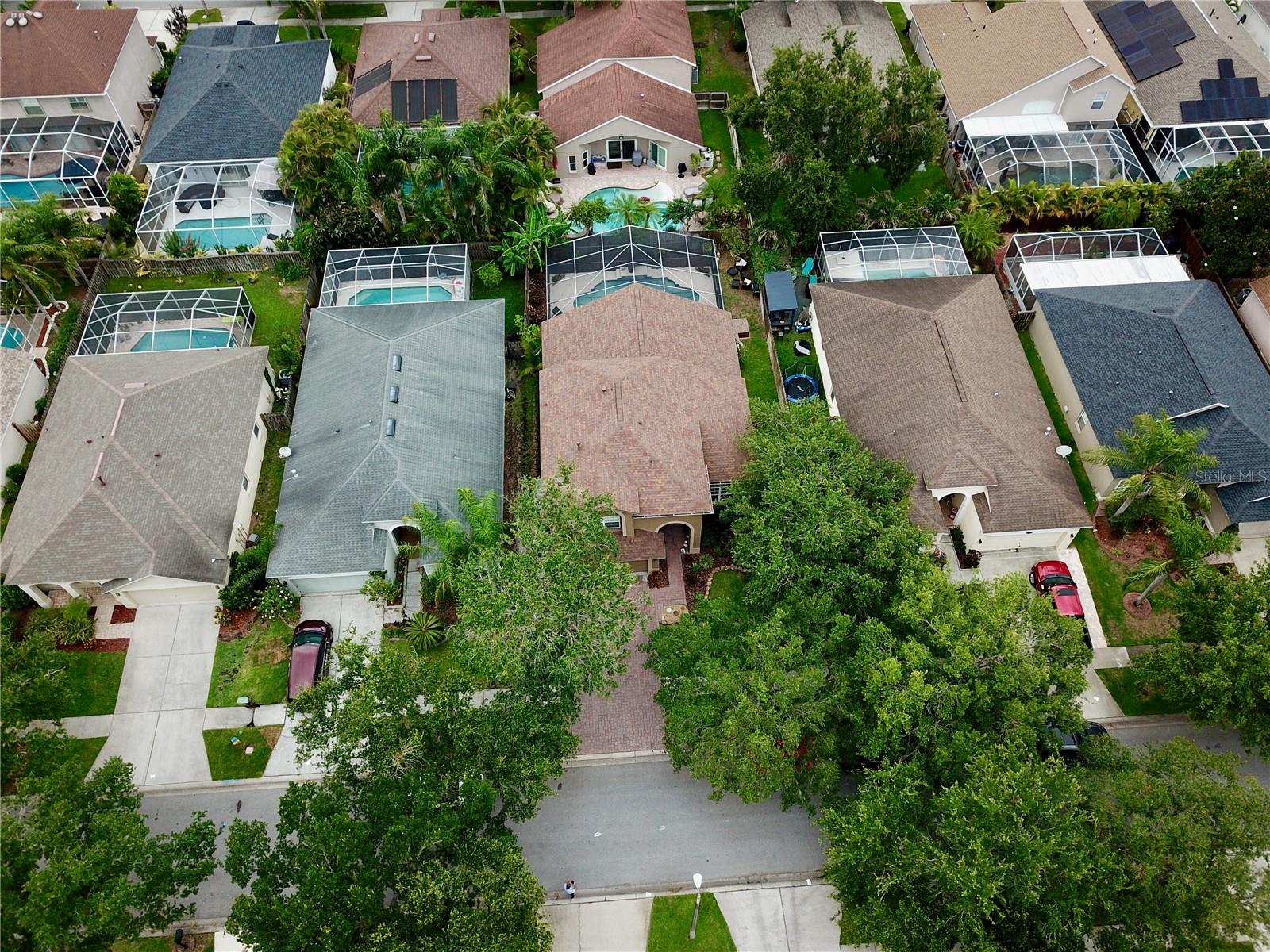 Ariel View