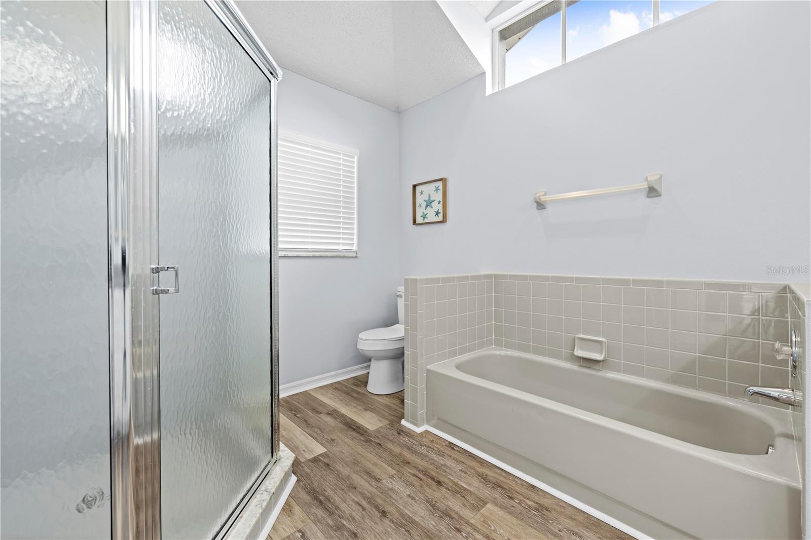 Master Bath tub and separate step in shower