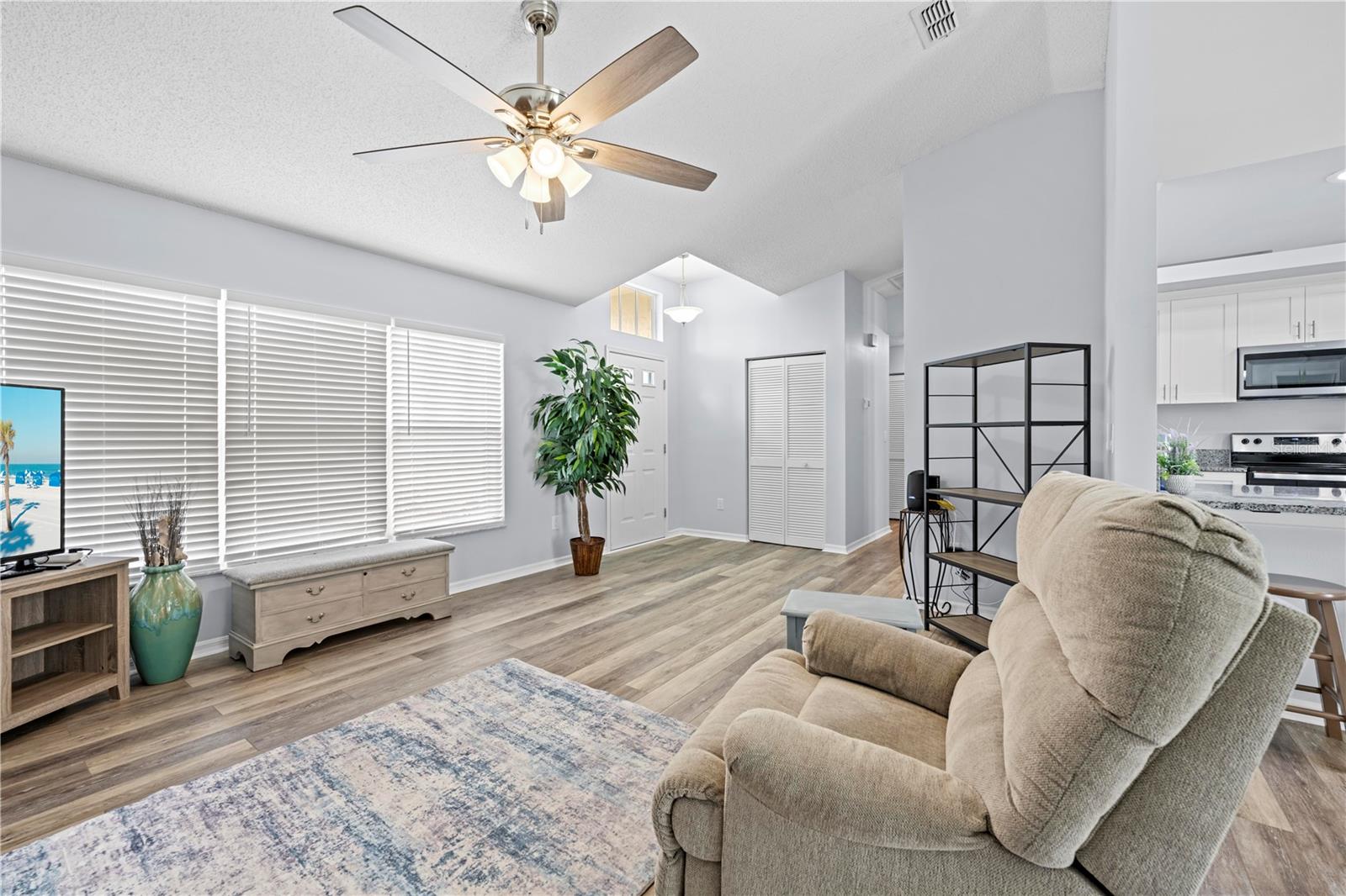 Living Room View