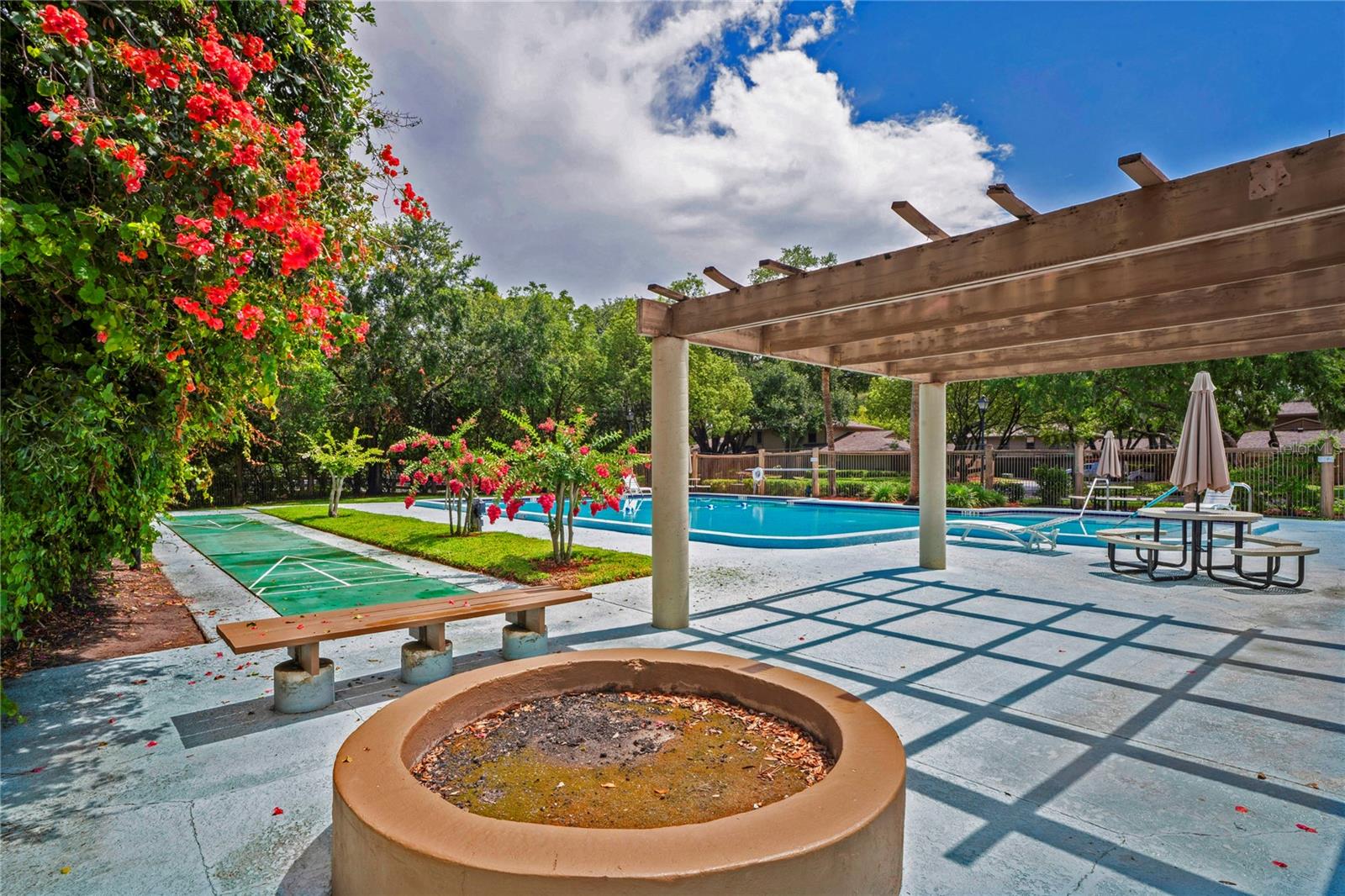 Community Fire Pit & Shuffleboard