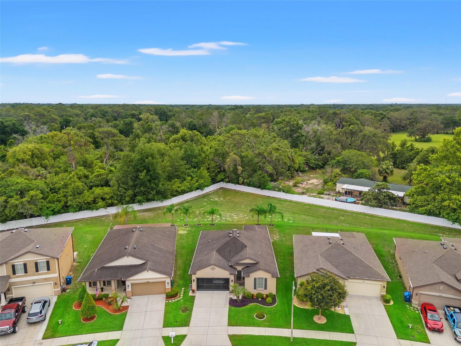 Notice how far away the Perimeter Fence is from the back of the house AND it doesn't back up to a busy road or neighbors.