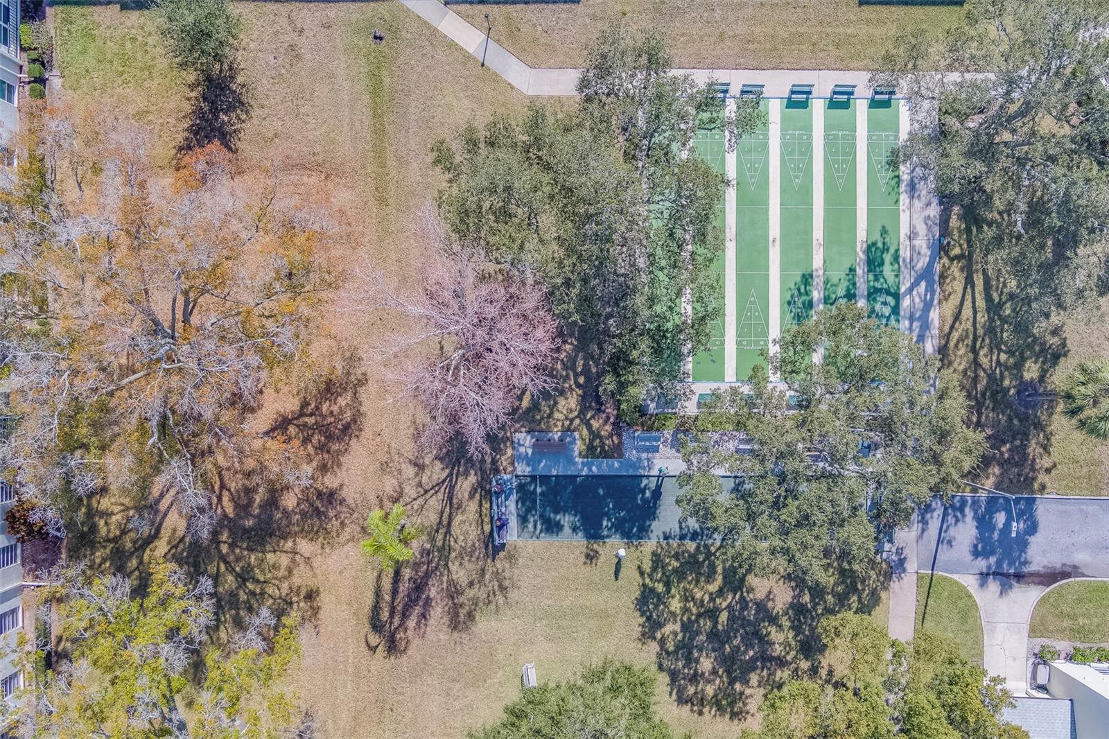 TB8391666