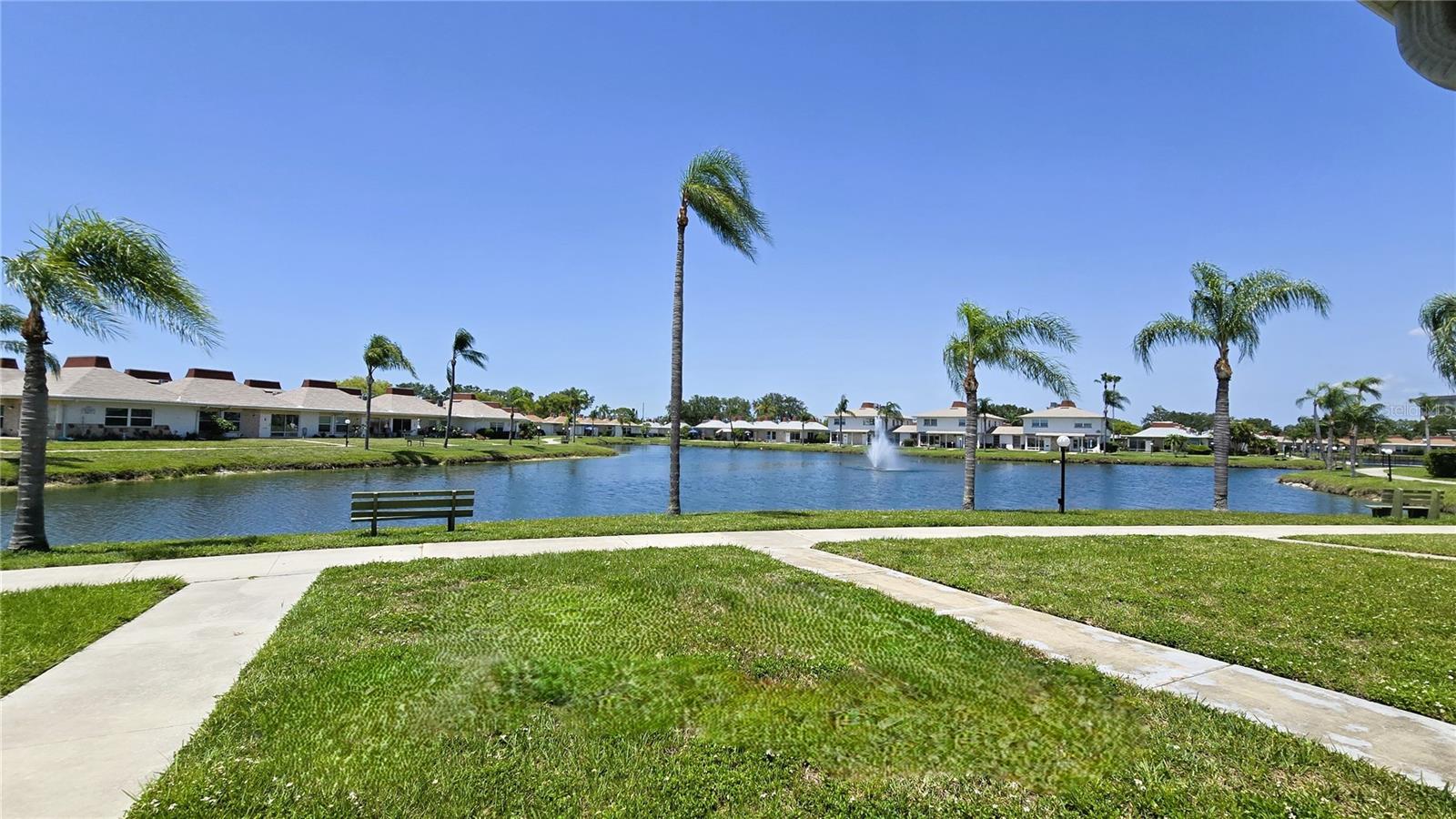 View from Patio