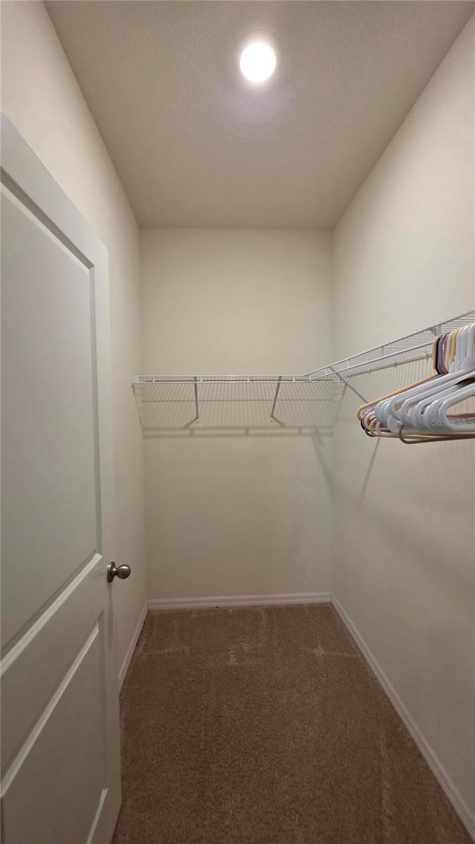 In-Law Suite walk-in closet