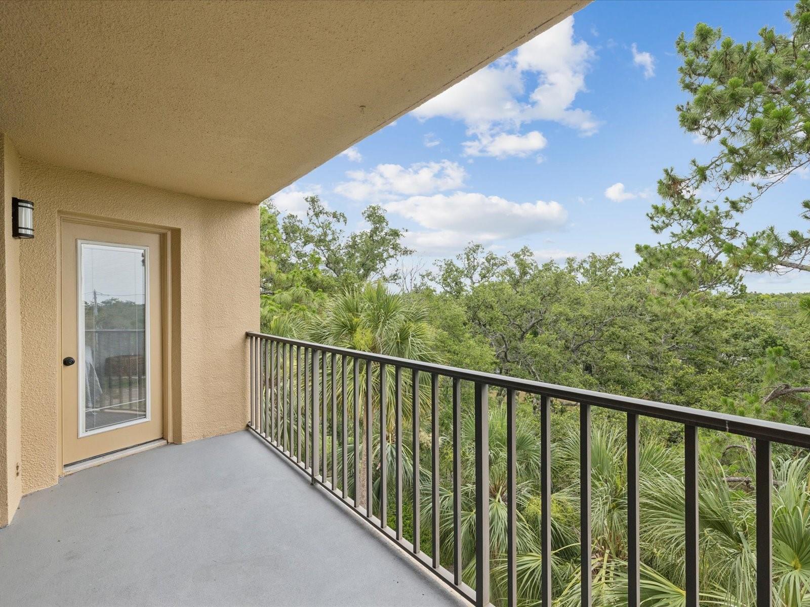Balcony off the Primary and Florida Room