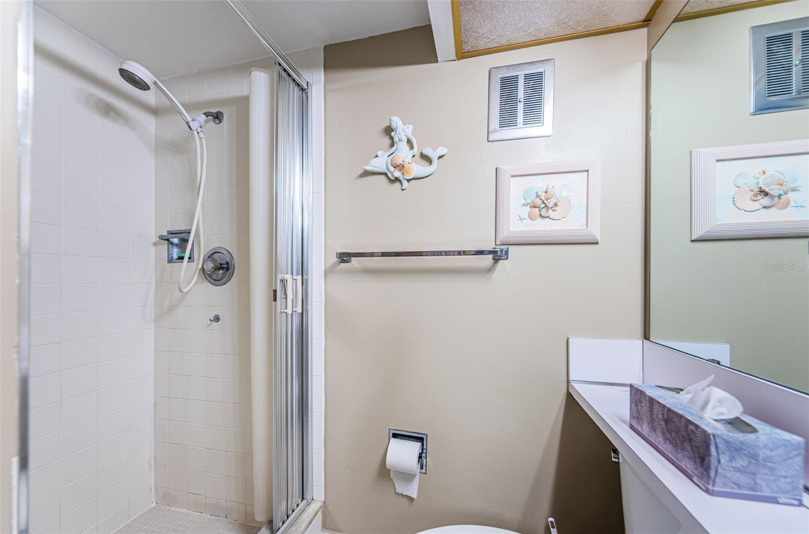 Shower in guest bathroom