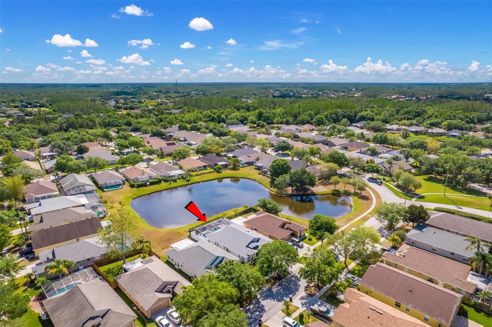 Overview of neighborhood
