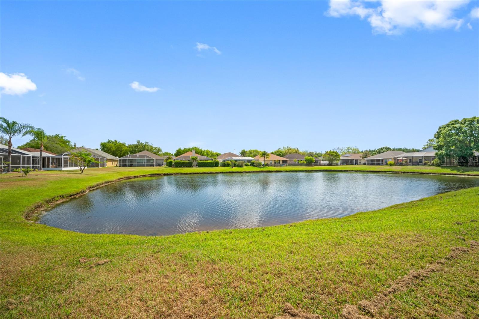 Pond in Back.