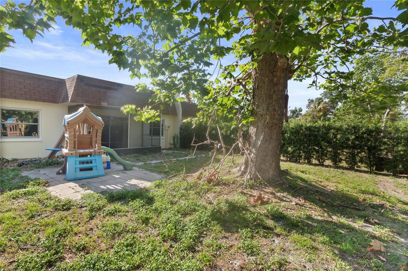Rear yard