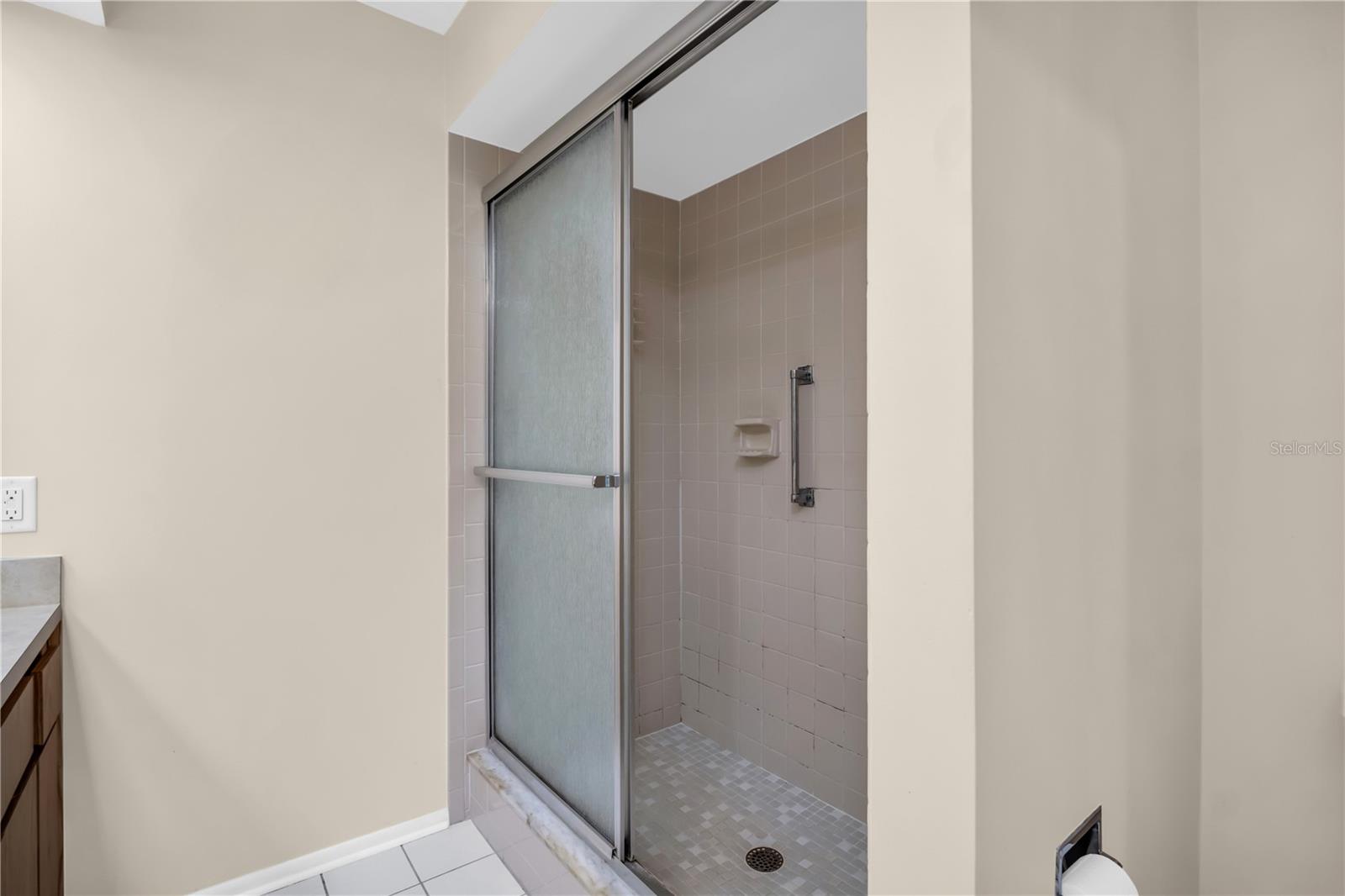 Gracious walk-in shower with safety grab bar~