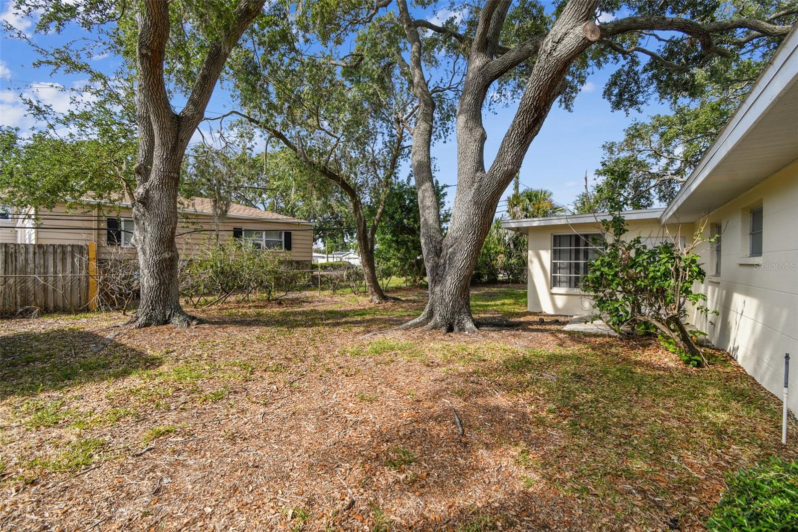 Nice big yard