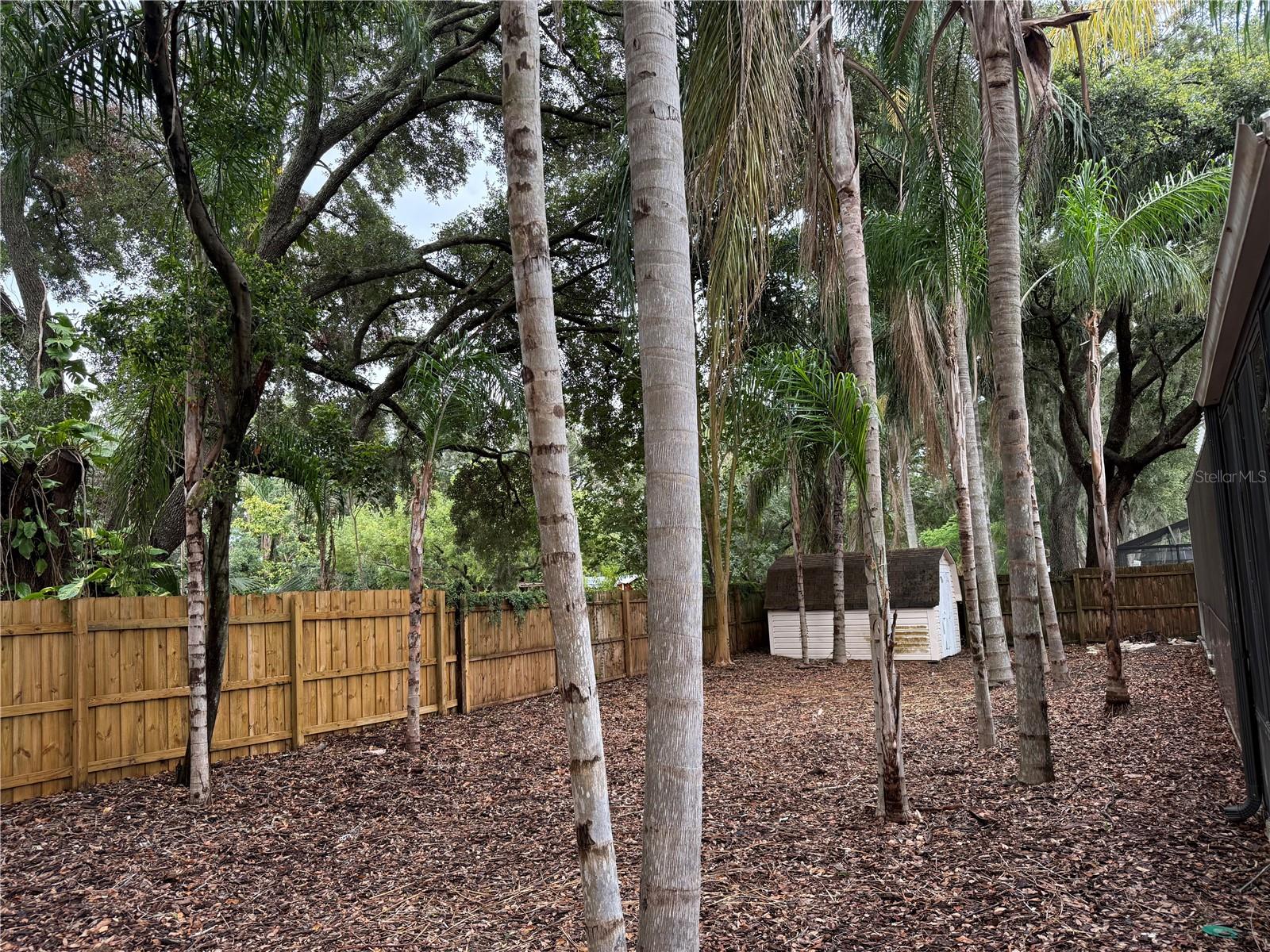 BACK YARD