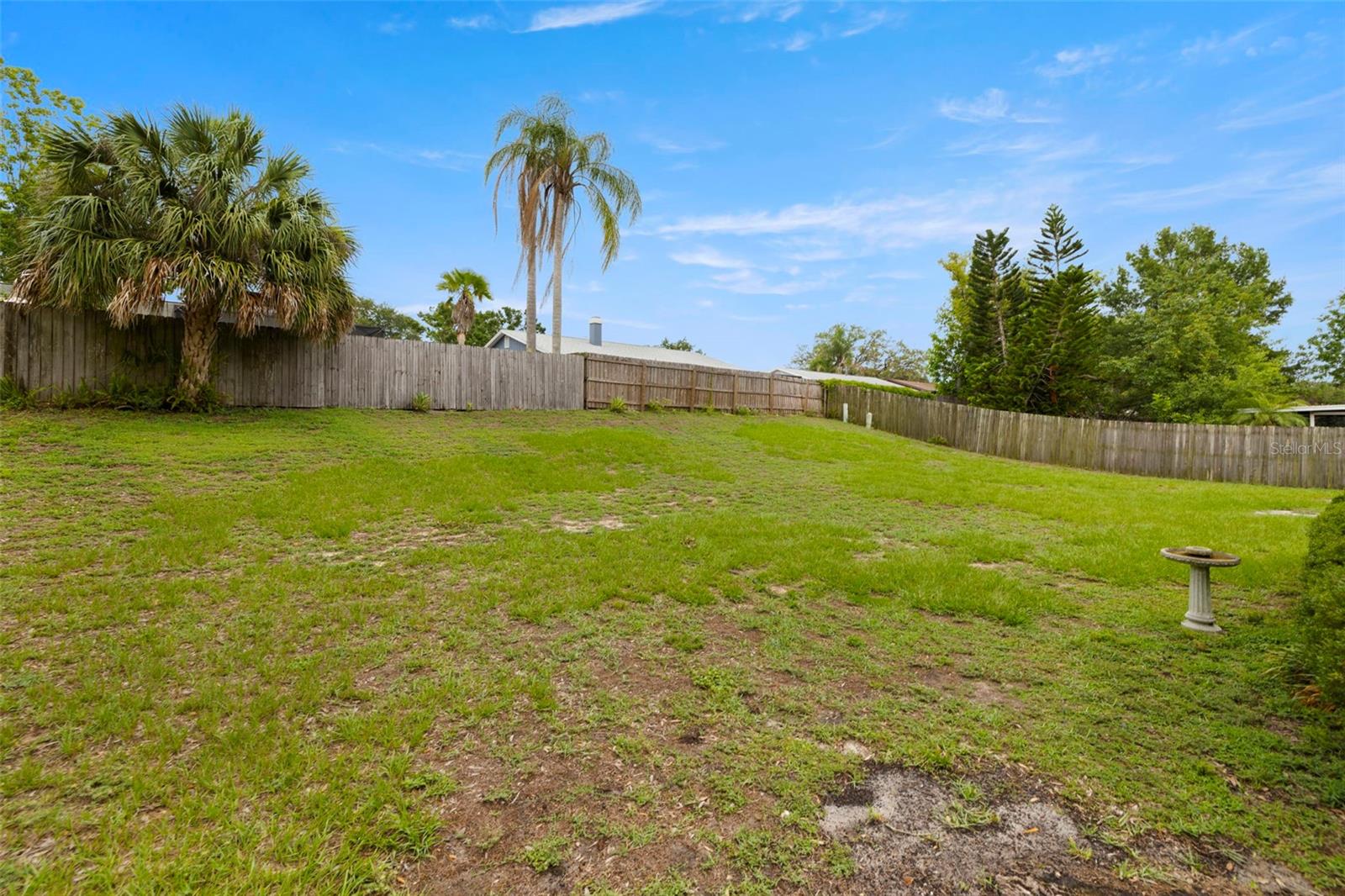 Large Backyard