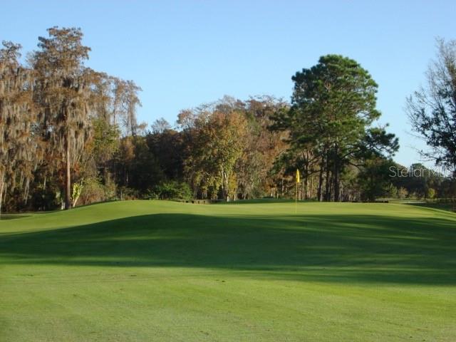 Golf Course
