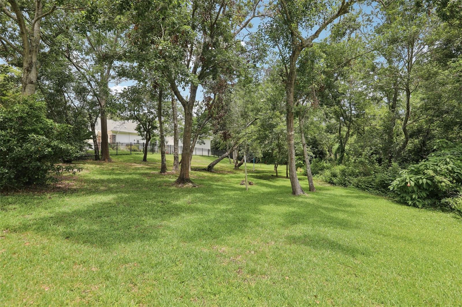 Additional back yard space