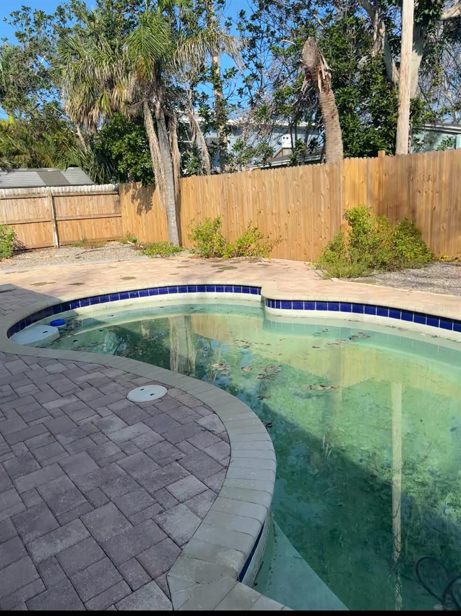 Pool and backyard