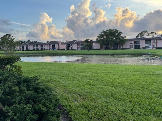 Nice pond view from lanai