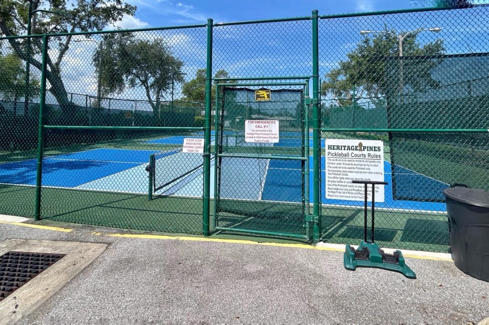 Pickleball Court