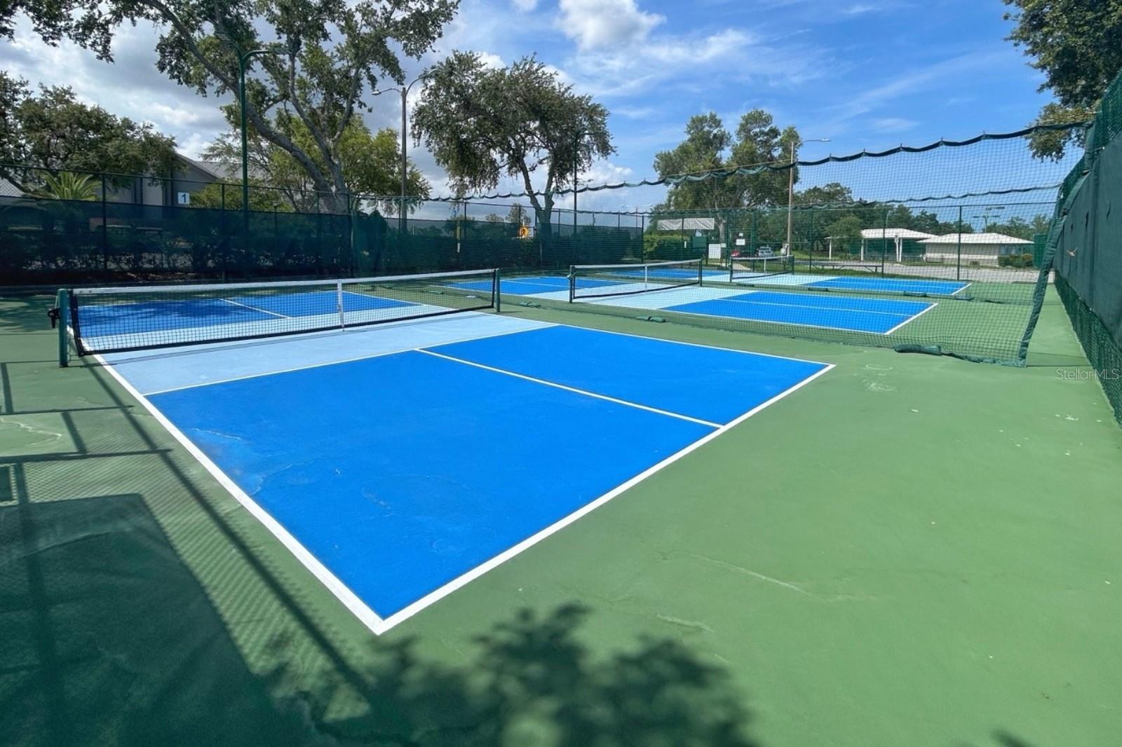 Pickleball Court