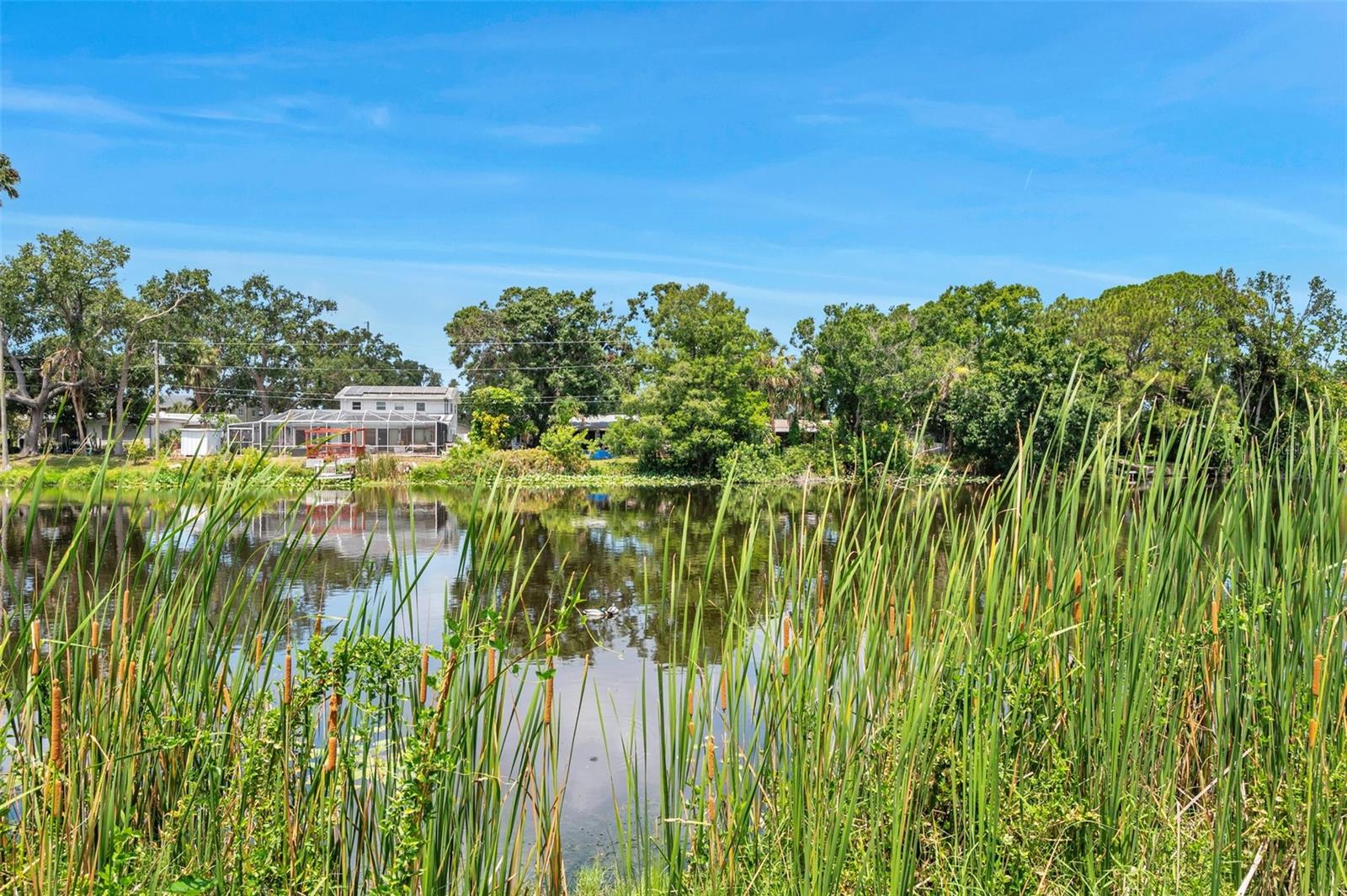 So great to come home to this backyard with peaceful lake.