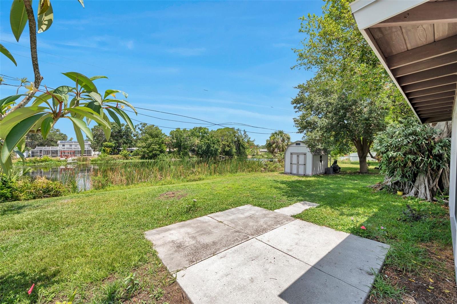 What a backyard!  So uncommon to have a backyard like this one in St Pete!  Get out the grill and invite some friends over for a 4th of July cookout!