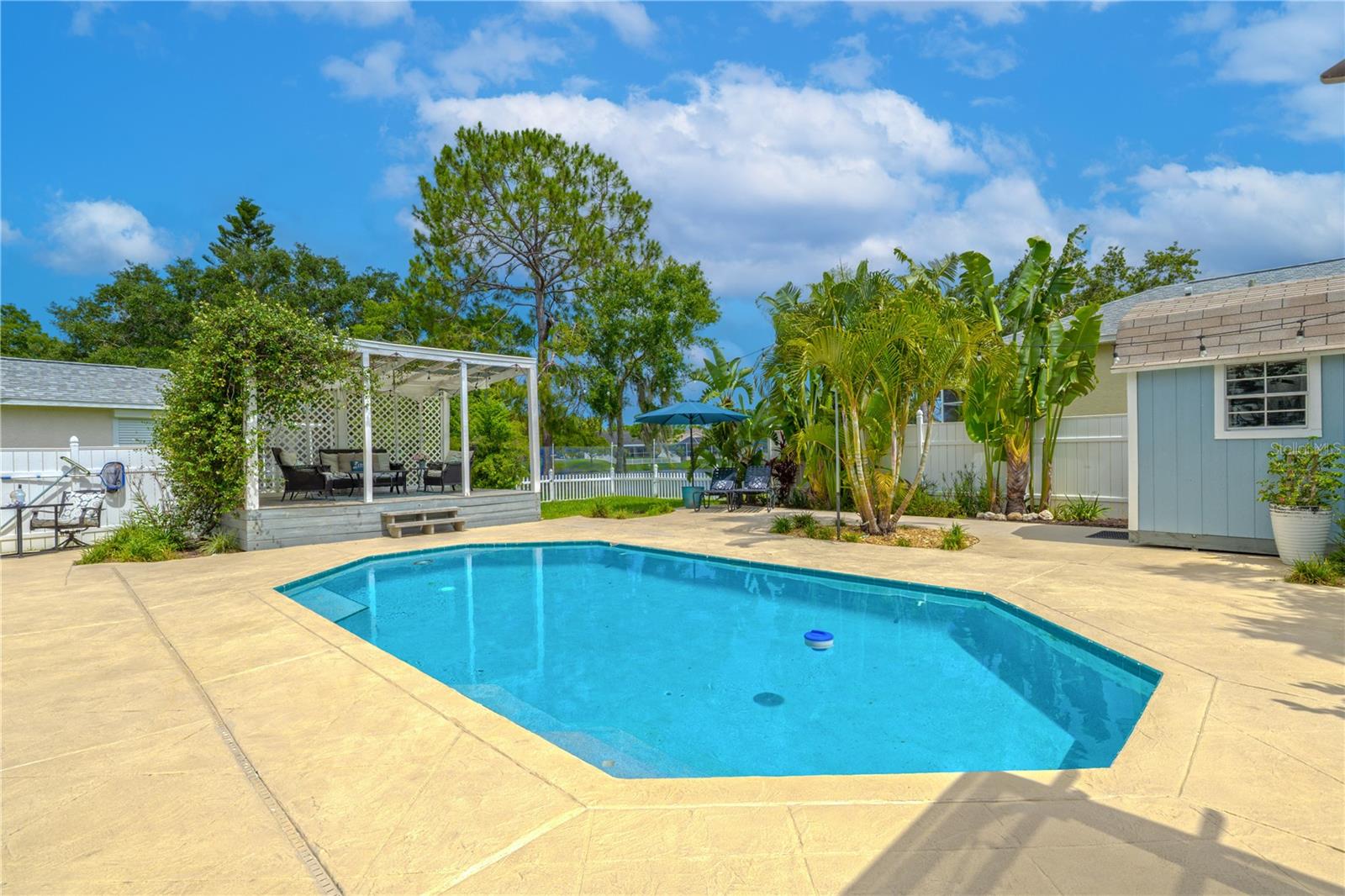 The expansive pool deck features textured concrete for a clean, slip-resistant surface and is bordered by lush garden beds that enhance the tropical ambiance.
