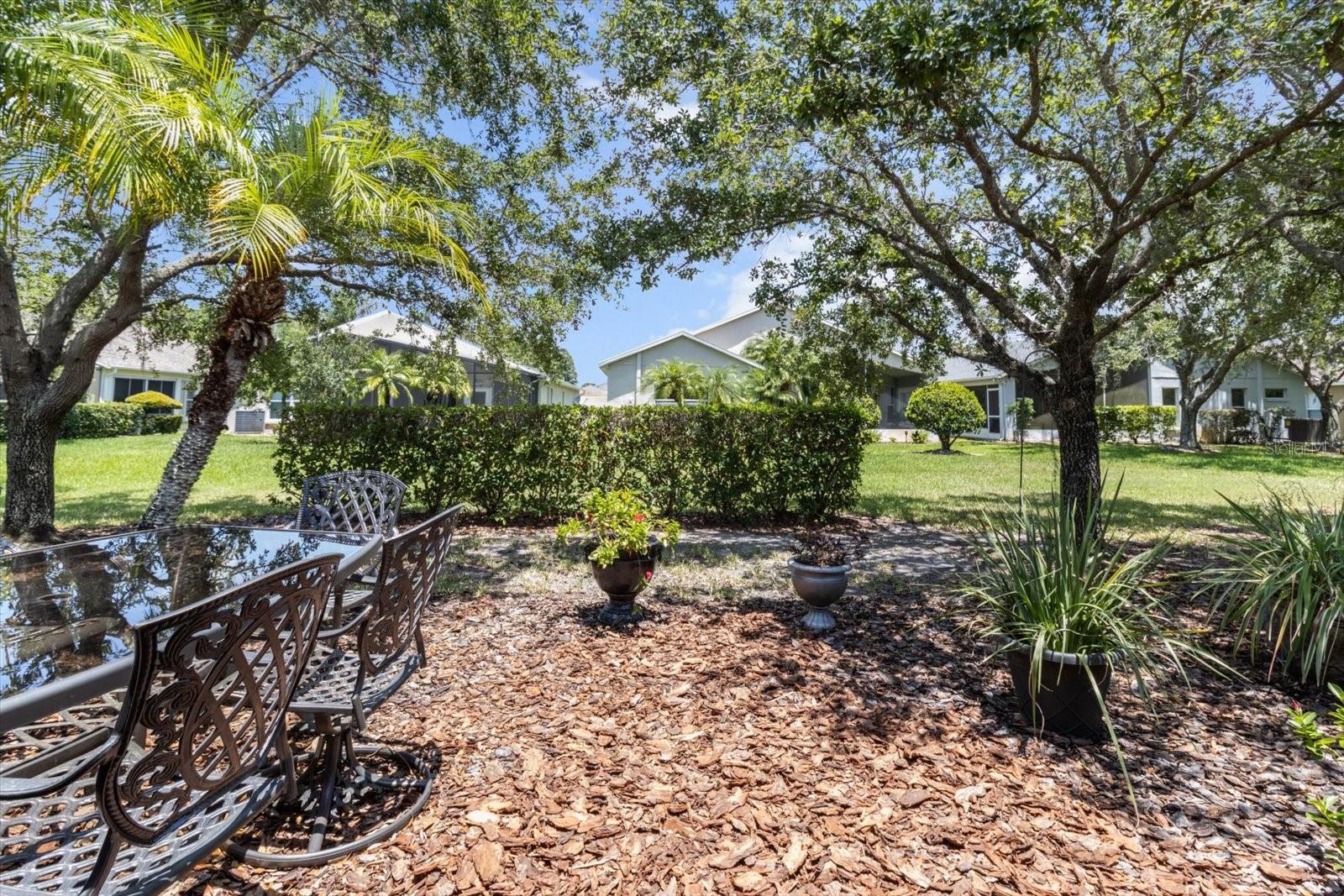 Rear Yard