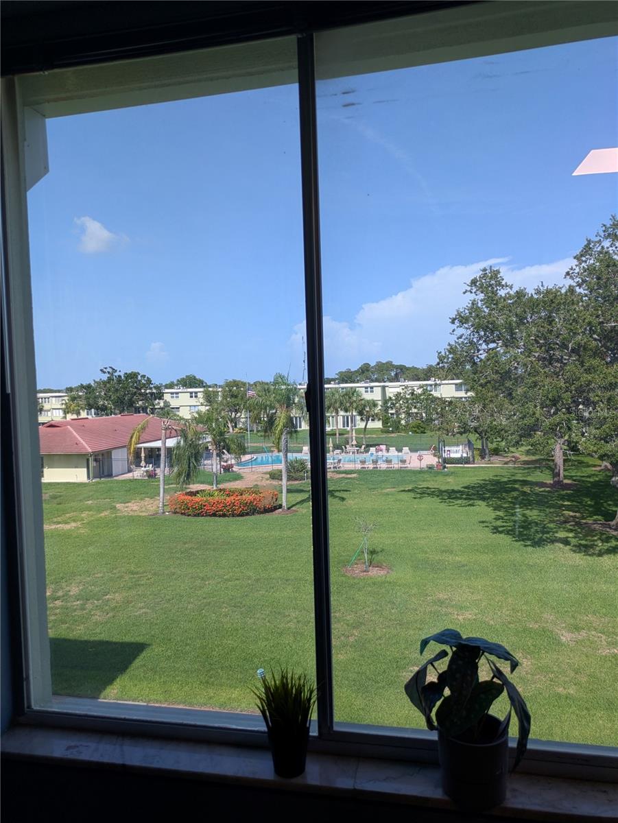 bonus room view