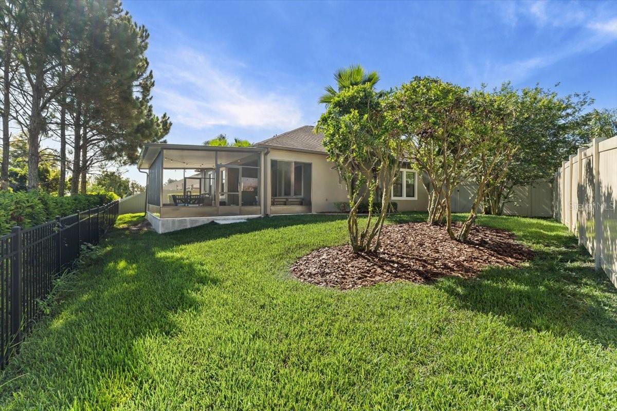 Side yard