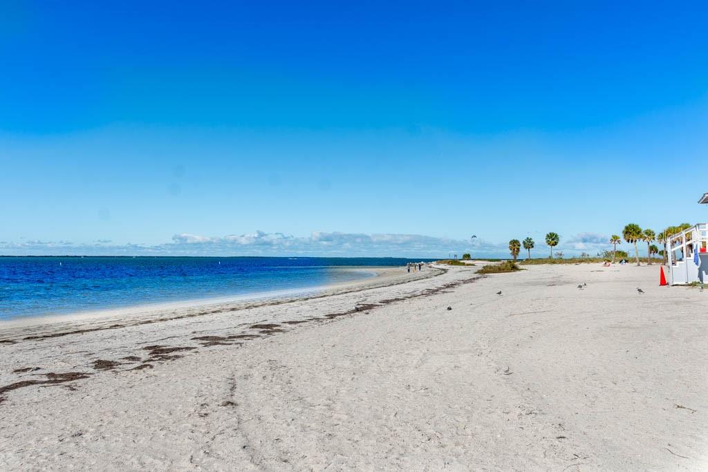 Fred Howard Park Beach