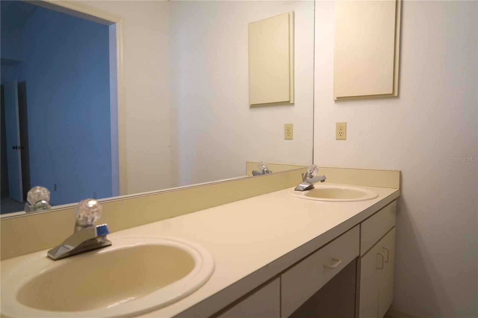 Dual sinks