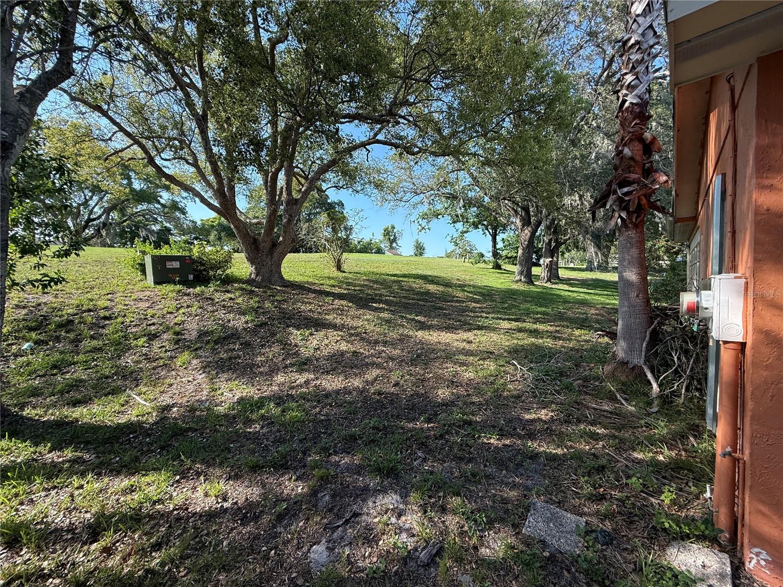 Backyard