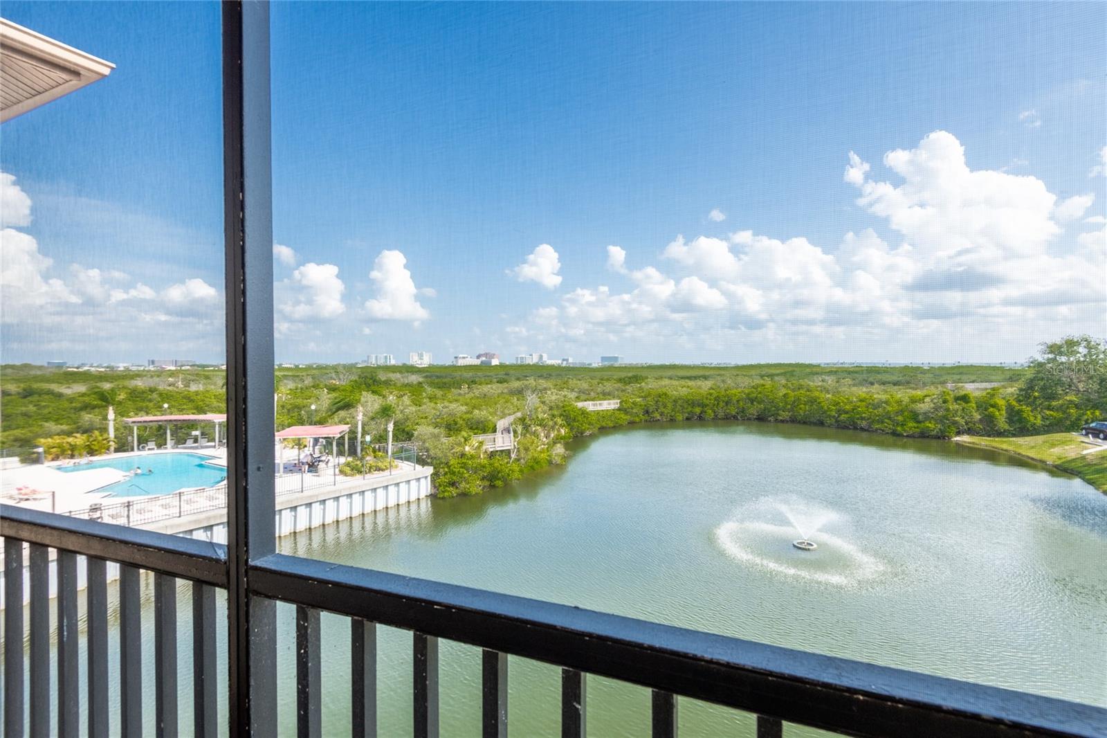 Pond and pool view