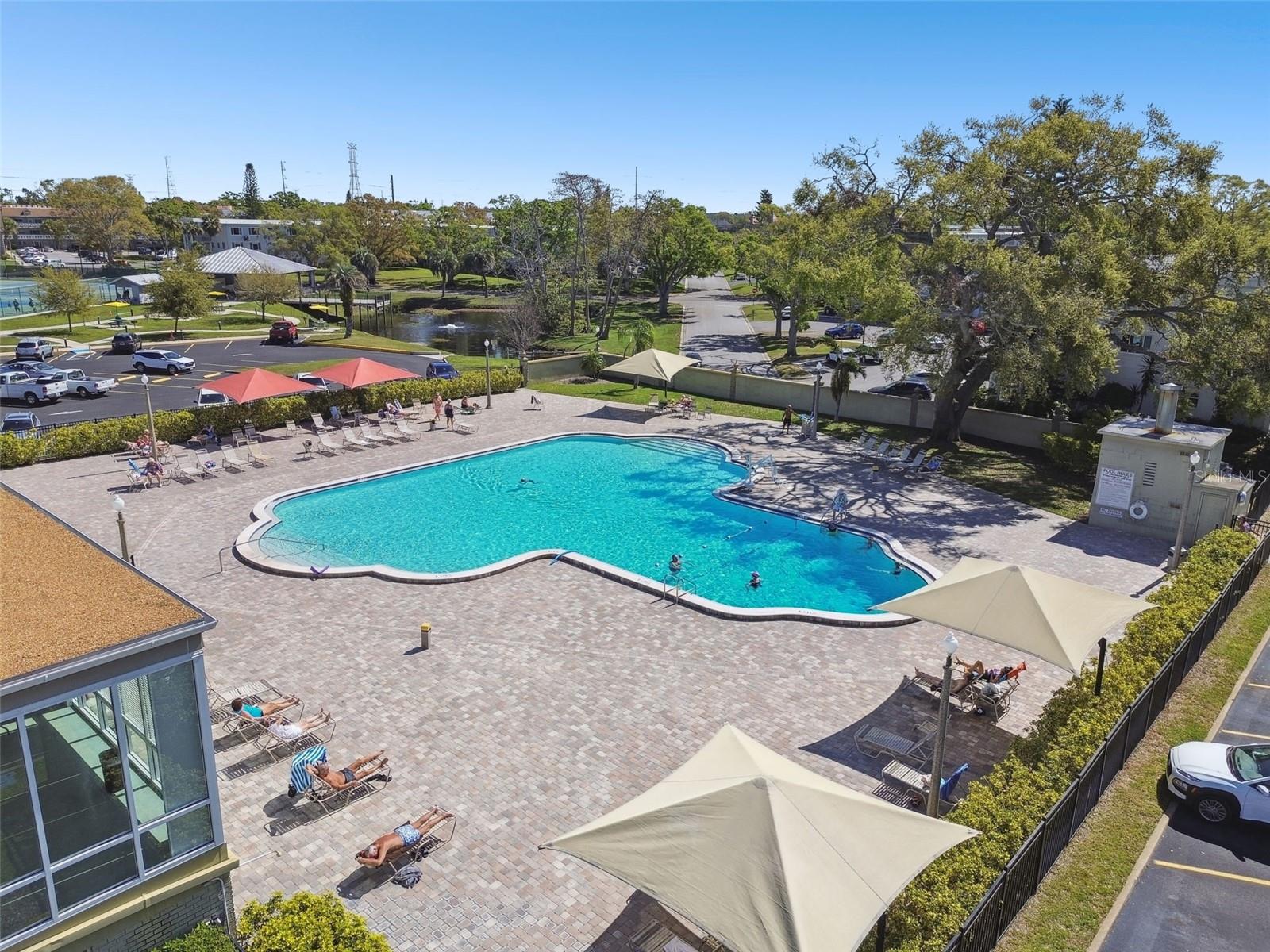 Fabulous pool