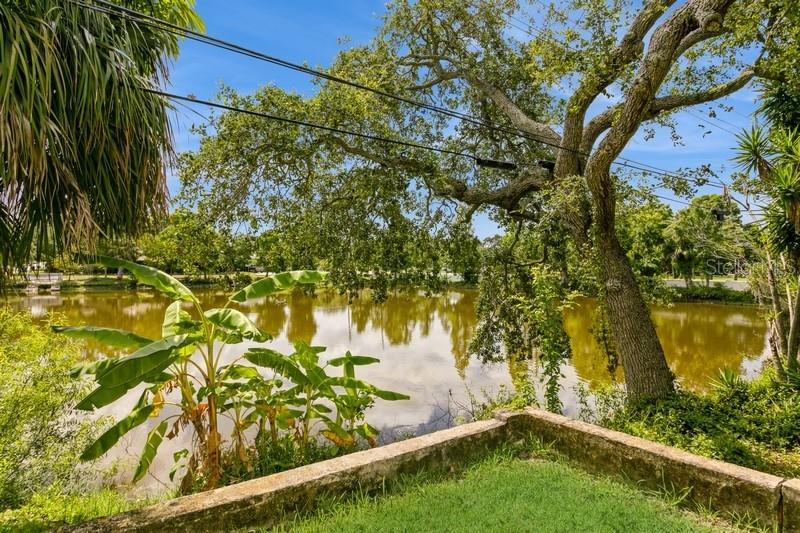 View to pond