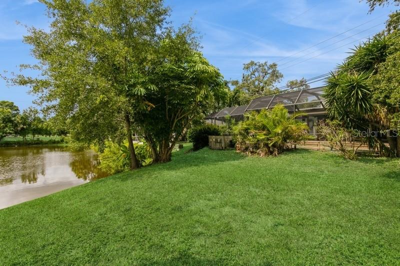 Backyard and pond view
