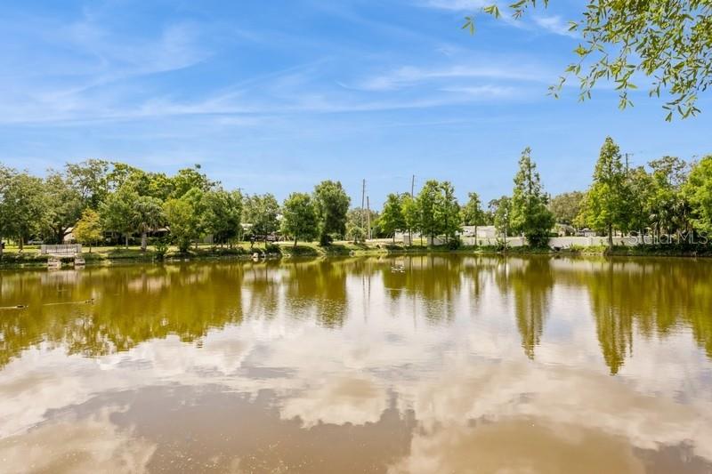Pond view - so relaxing! Owned by neighbor