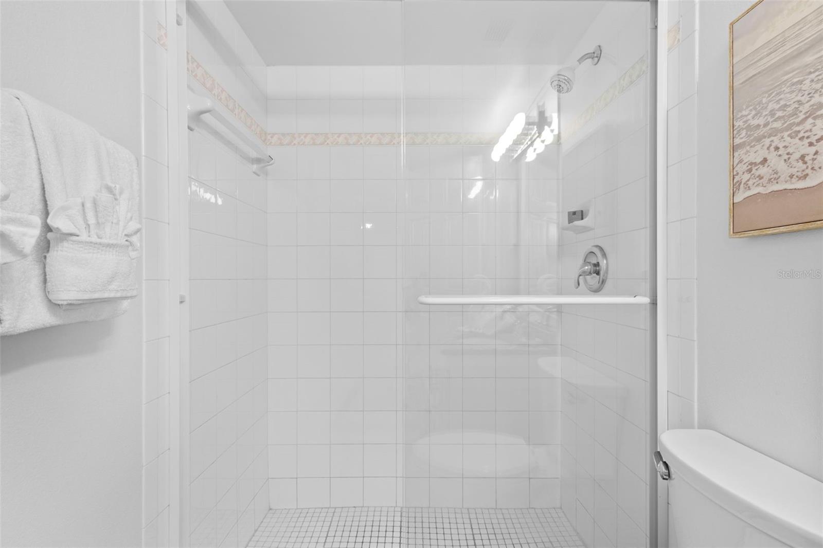 guest bathroom has shower