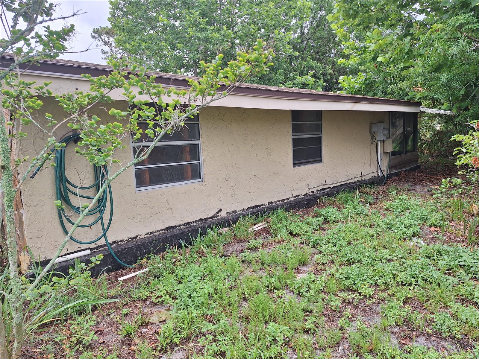 Side Yard