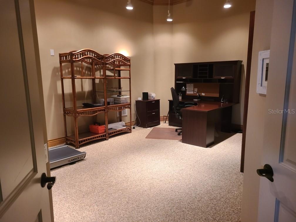 Another Bonus Room on the 1st level which can be used as an office or gym