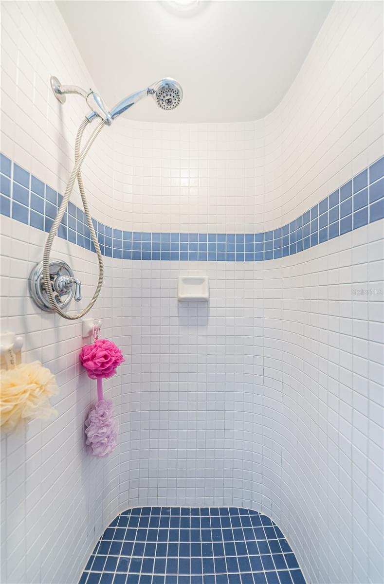 Primary Shower